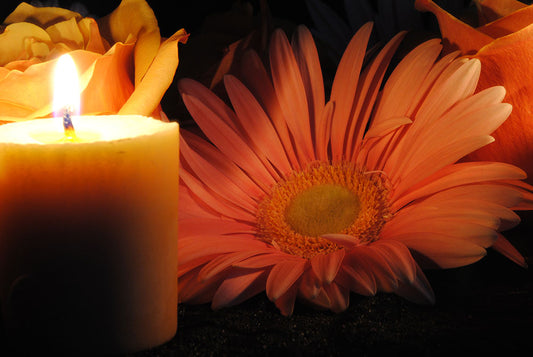 Pastel Pink Daisy With Candle Digital Image Download