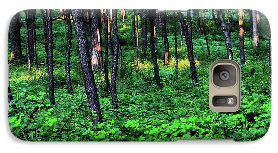 Patchy Sunlight in The Woods - Phone Case