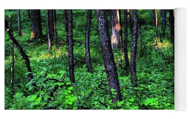 Patchy Sunlight in The Woods - Yoga Mat