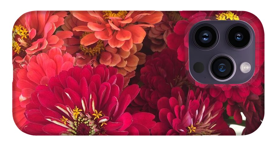 Peach and Pink Zinnias - Phone Case