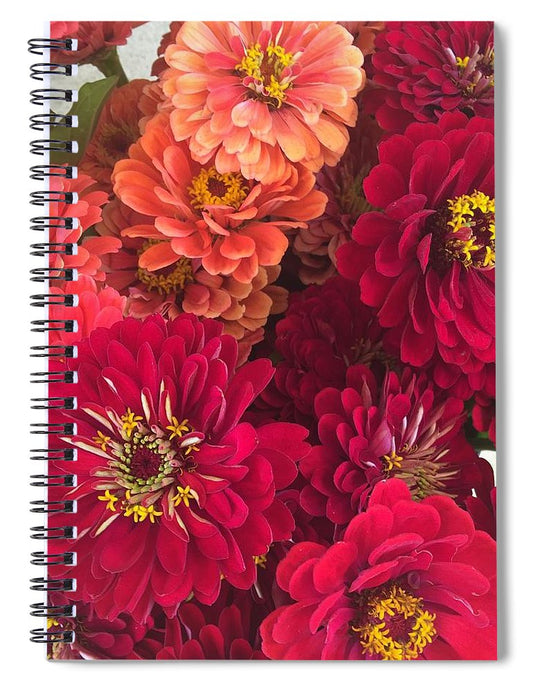 Peach and Pink Zinnias - Spiral Notebook