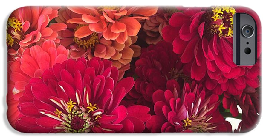 Peach and Pink Zinnias - Phone Case
