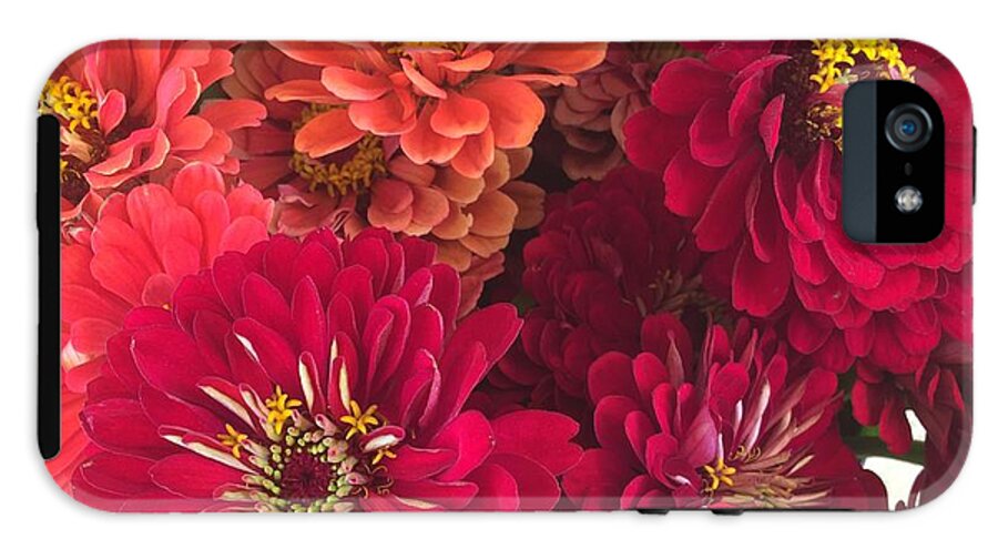 Peach and Pink Zinnias - Phone Case