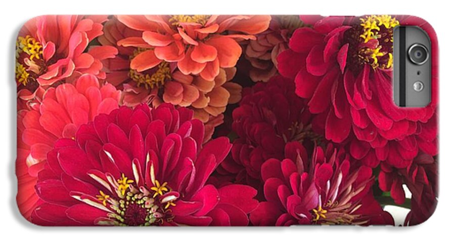 Peach and Pink Zinnias - Phone Case