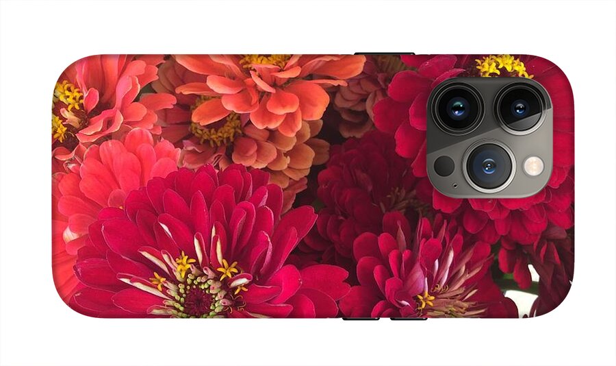 Peach and Pink Zinnias - Phone Case