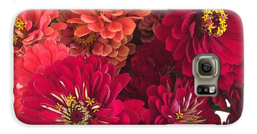 Peach and Pink Zinnias - Phone Case