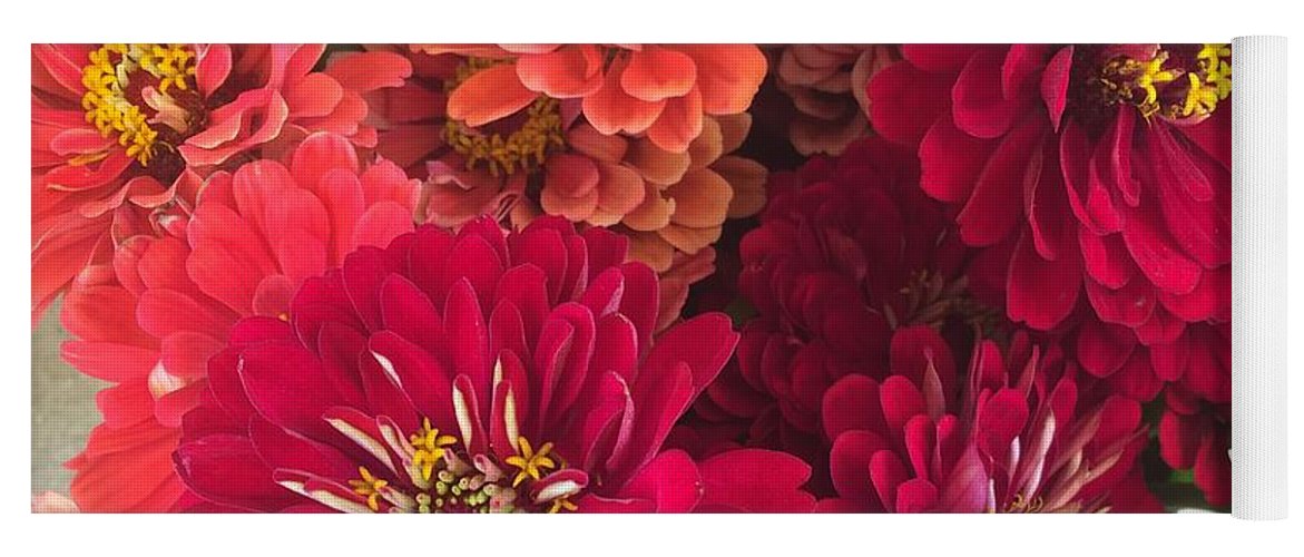 Peach and Pink Zinnias - Yoga Mat
