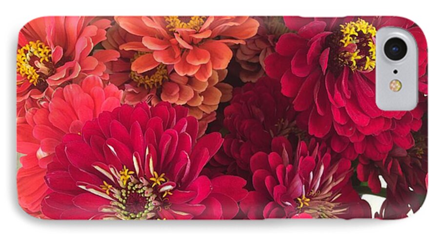 Peach and Pink Zinnias - Phone Case