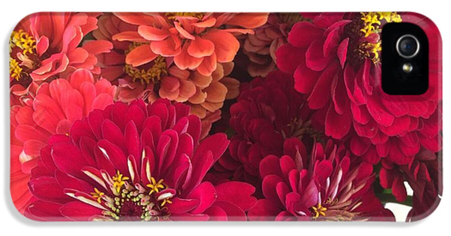 Peach and Pink Zinnias - Phone Case
