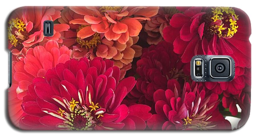 Peach and Pink Zinnias - Phone Case