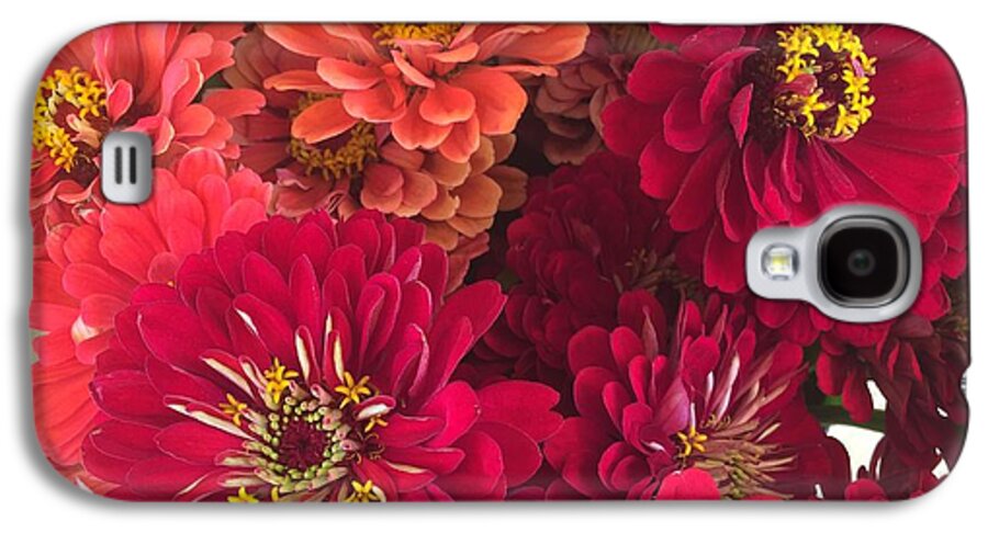 Peach and Pink Zinnias - Phone Case