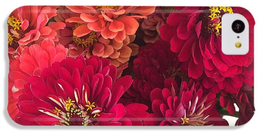 Peach and Pink Zinnias - Phone Case