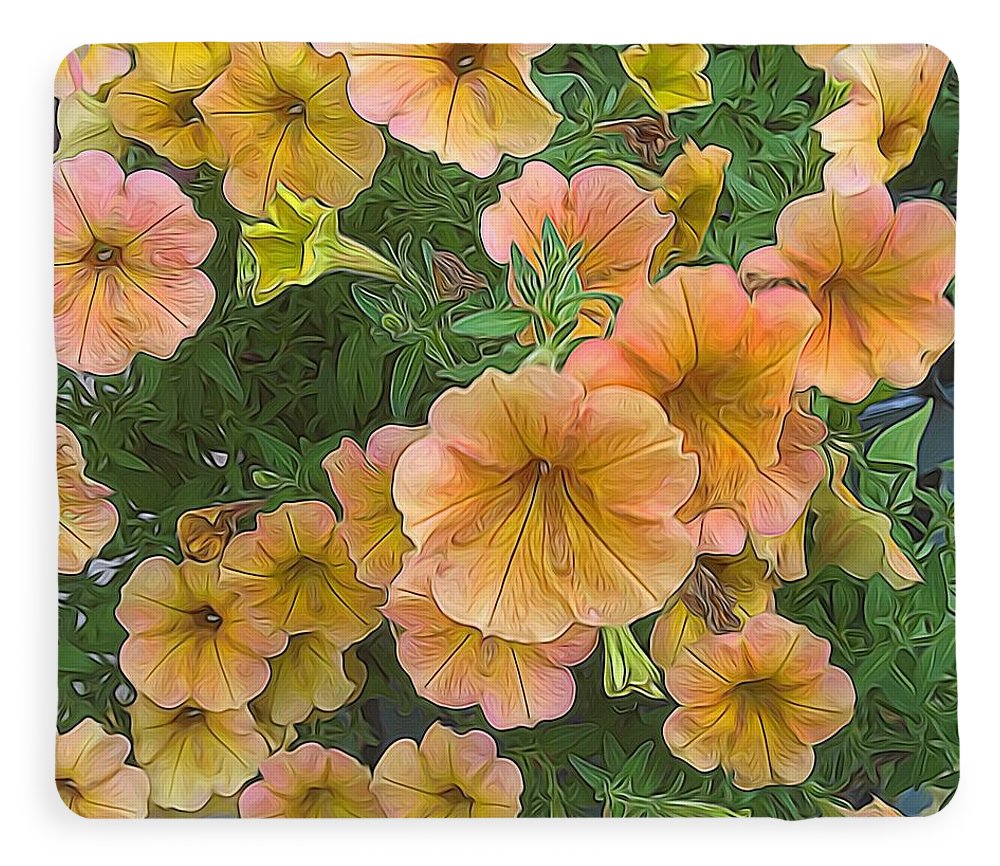 Peach Petunias - Blanket