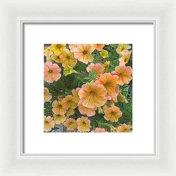 Peach Petunias - Framed Print