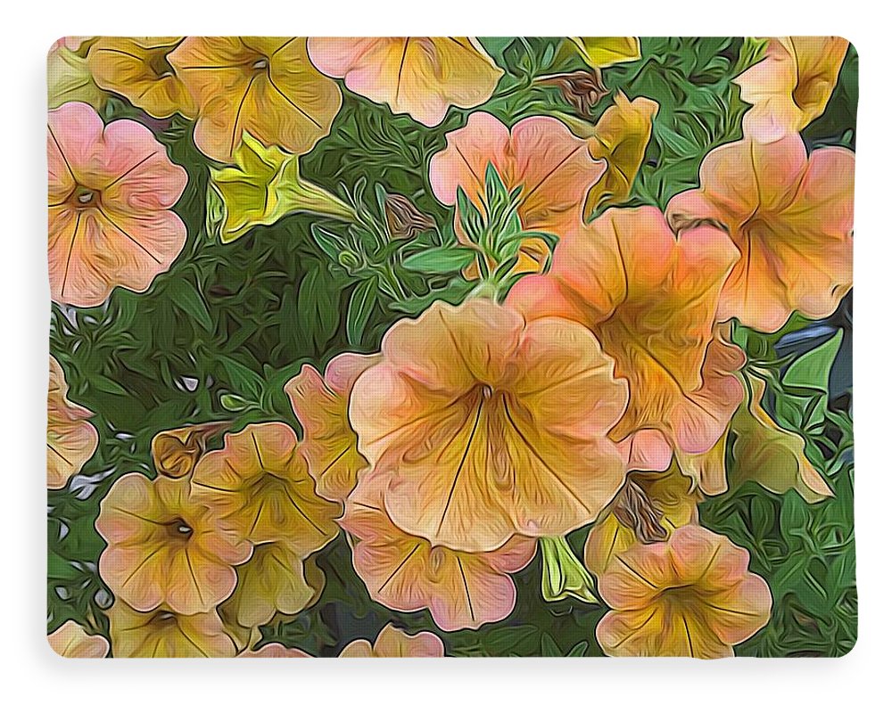 Peach Petunias - Blanket