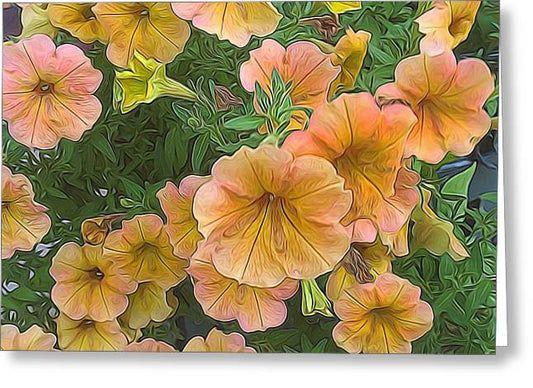 Peach Petunias - Greeting Card