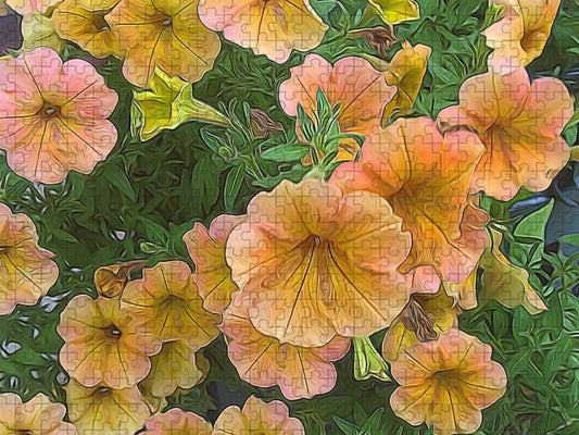 Peach Petunias - Puzzle