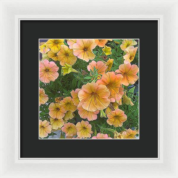 Peach Petunias - Framed Print