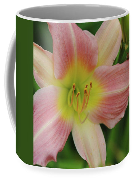 Peaches and Cream Lily - Mug