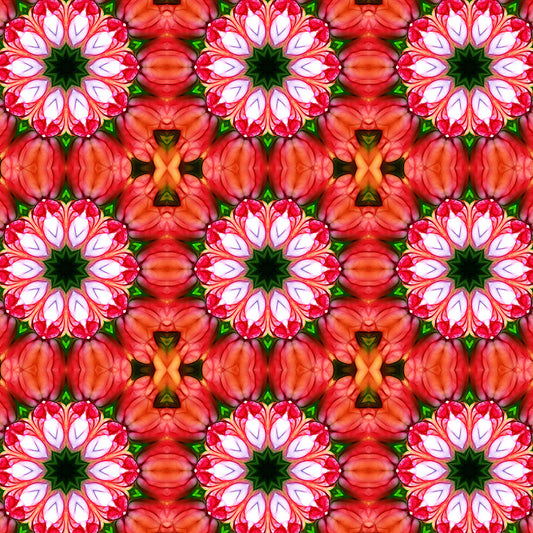 Peachy Flower Kaleidoscope Digital Image Download