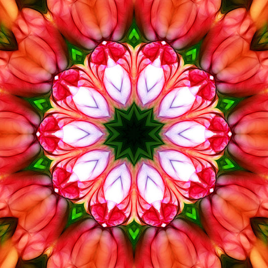 Peachy Pink Flower Kaleidoscope Digital Image Download