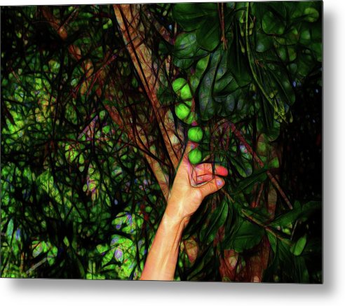 Pick The Limes - Metal Print