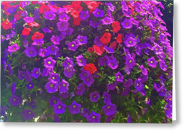 Pile Of Petunias - Greeting Card