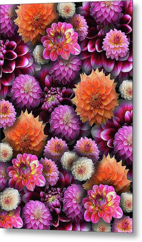 Pink and Orange Dahlias Collage - Metal Print
