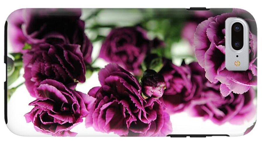 Pink and Purple Carnations On Lightbox - Phone Case