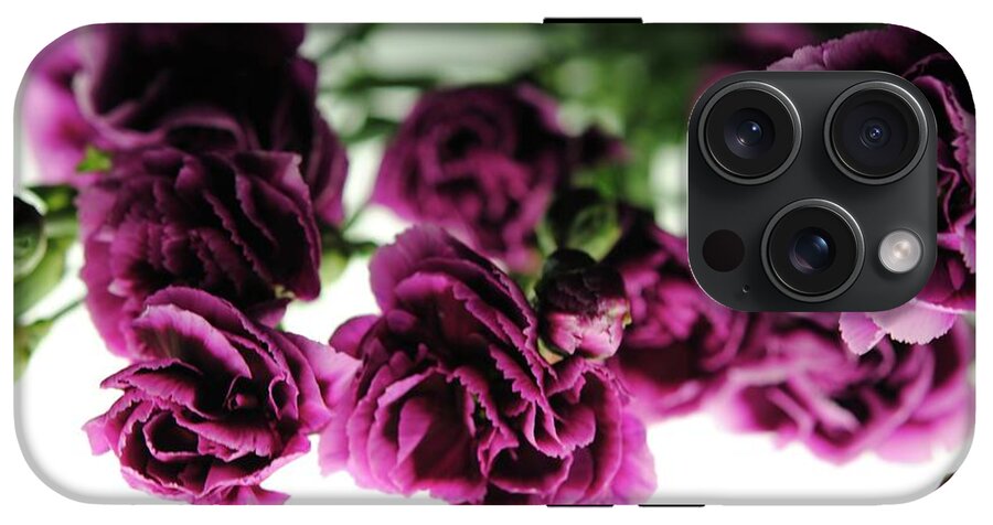 Pink and Purple Carnations On Lightbox - Phone Case