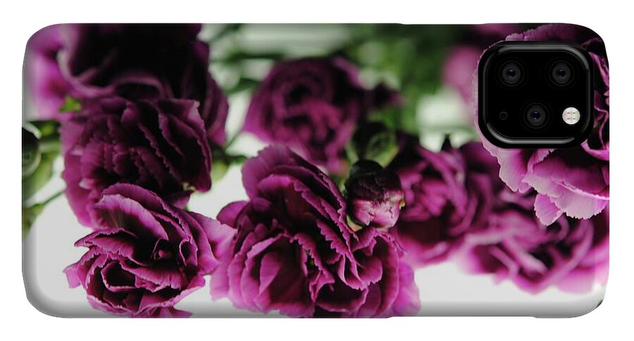 Pink and Purple Carnations On Lightbox - Phone Case