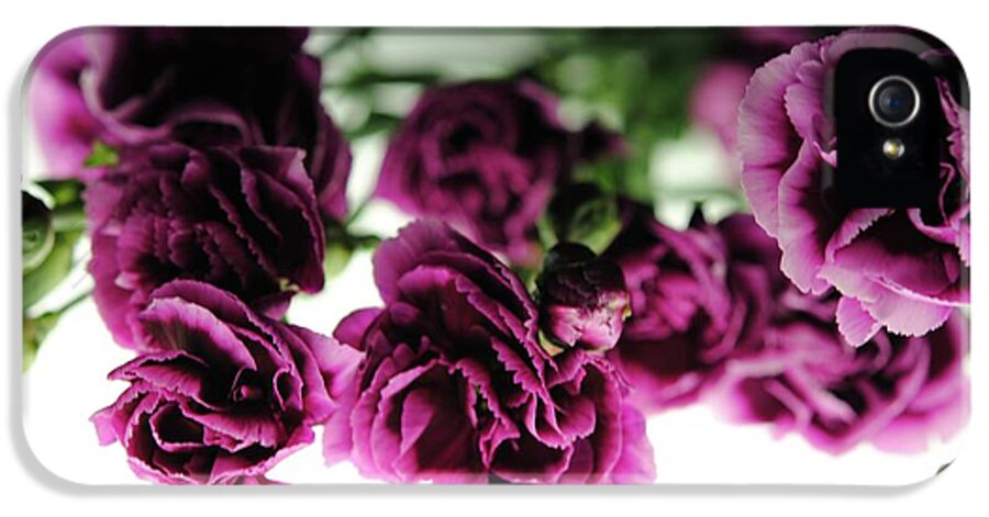 Pink and Purple Carnations On Lightbox - Phone Case