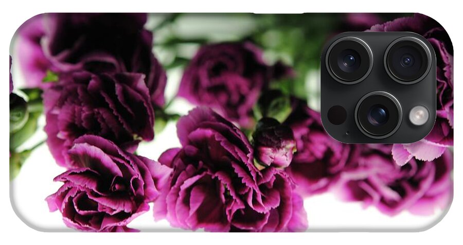 Pink and Purple Carnations On Lightbox - Phone Case