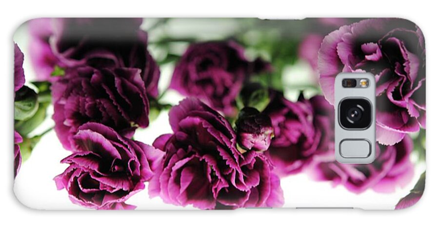 Pink and Purple Carnations On Lightbox - Phone Case