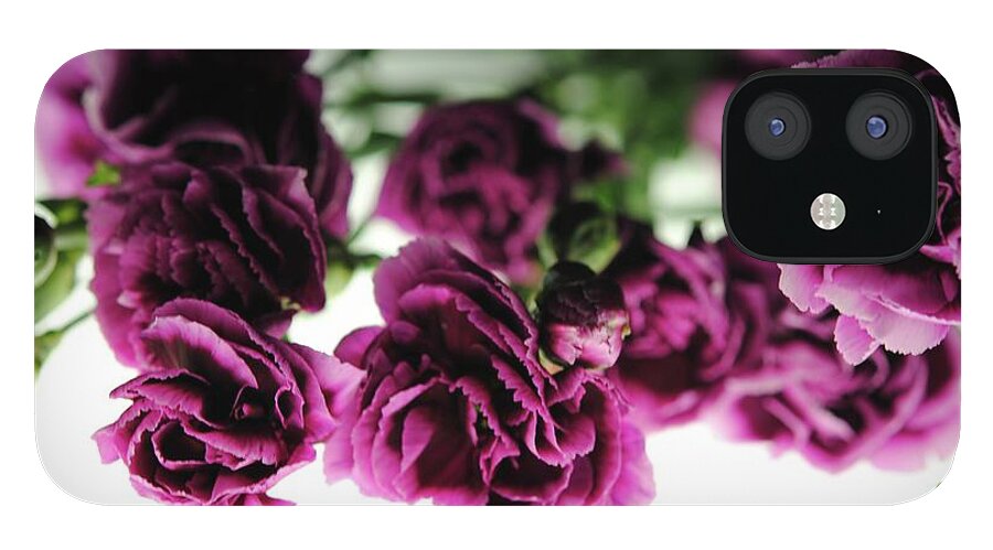Pink and Purple Carnations On Lightbox - Phone Case