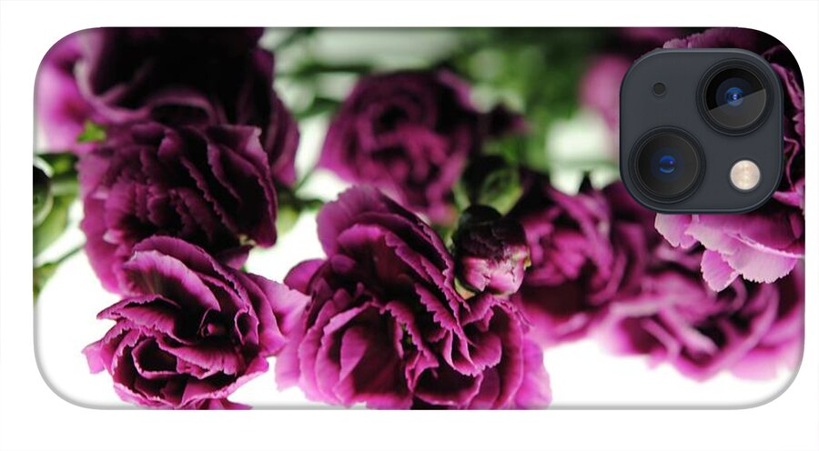 Pink and Purple Carnations On Lightbox - Phone Case