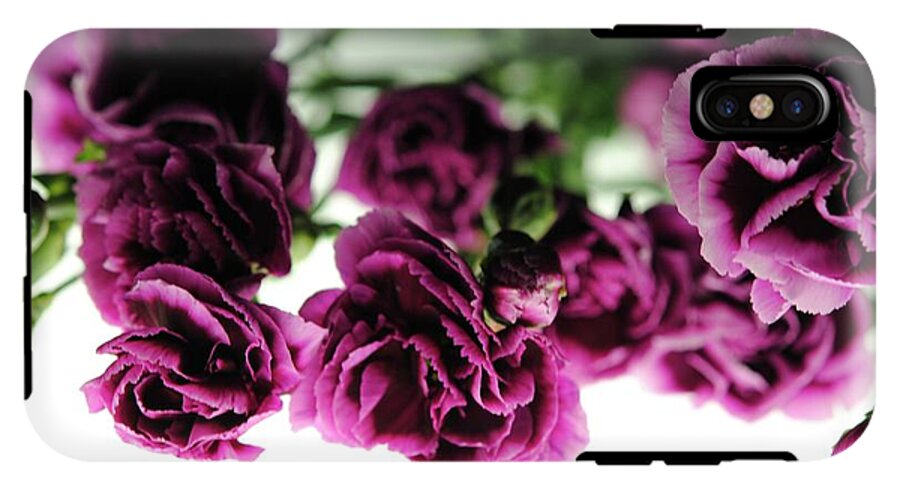 Pink and Purple Carnations On Lightbox - Phone Case