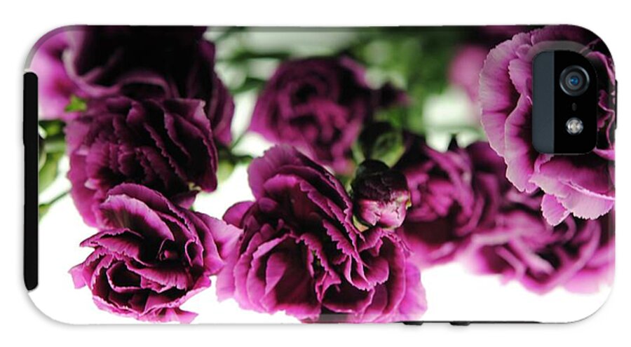 Pink and Purple Carnations On Lightbox - Phone Case