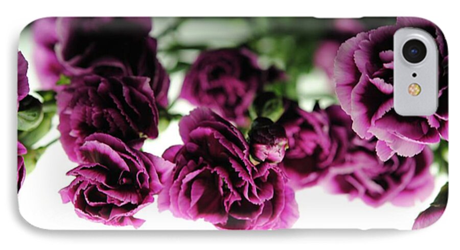 Pink and Purple Carnations On Lightbox - Phone Case