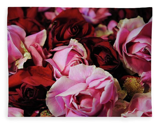 Pink and Red Roseheads - Blanket