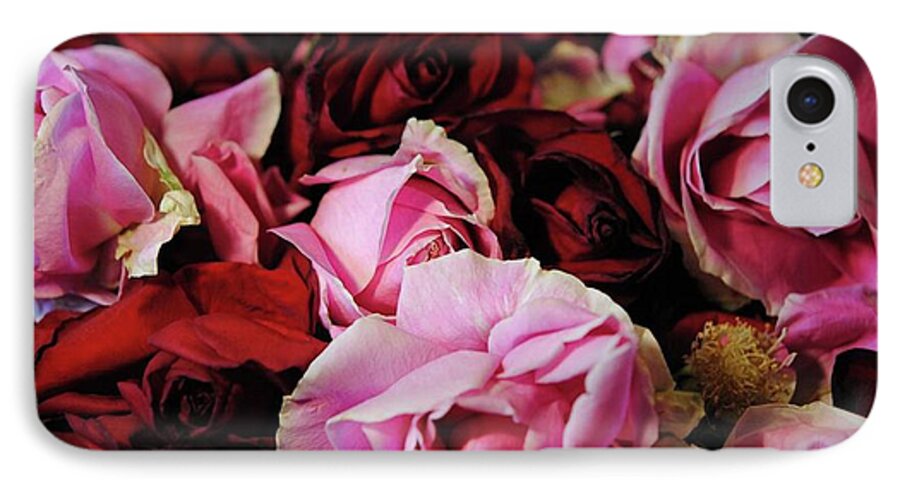Pink and Red Roseheads - Phone Case