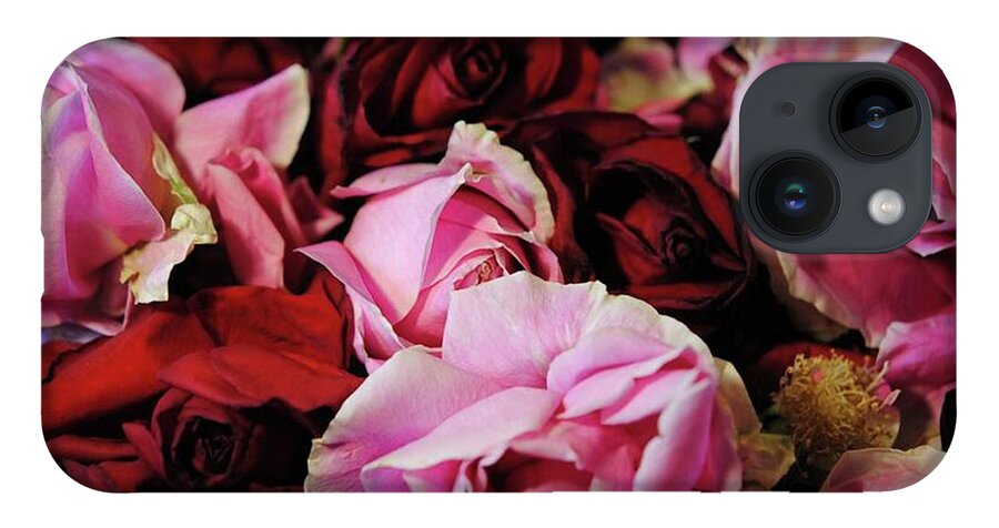 Pink and Red Roseheads - Phone Case