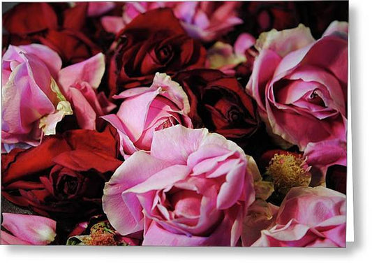 Pink and Red Roseheads - Greeting Card