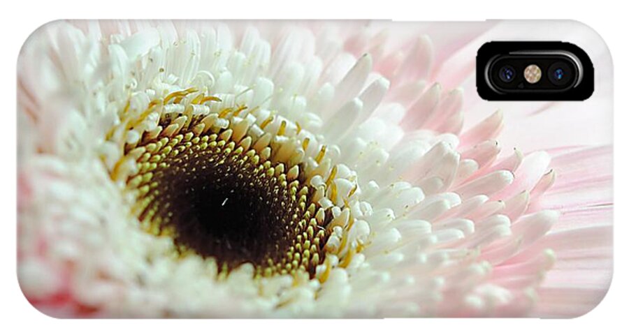Pink and White Daisy - Phone Case