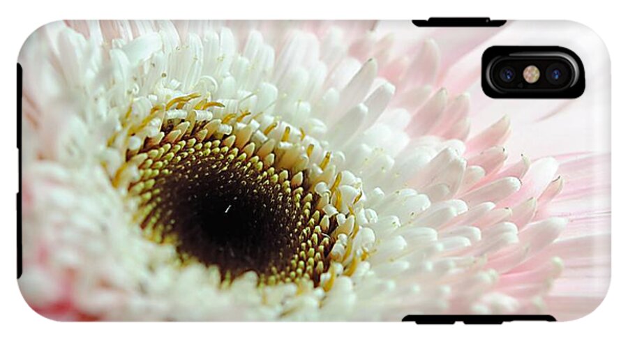 Pink and White Daisy - Phone Case