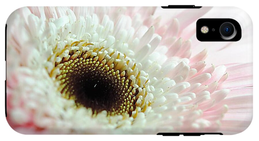 Pink and White Daisy - Phone Case