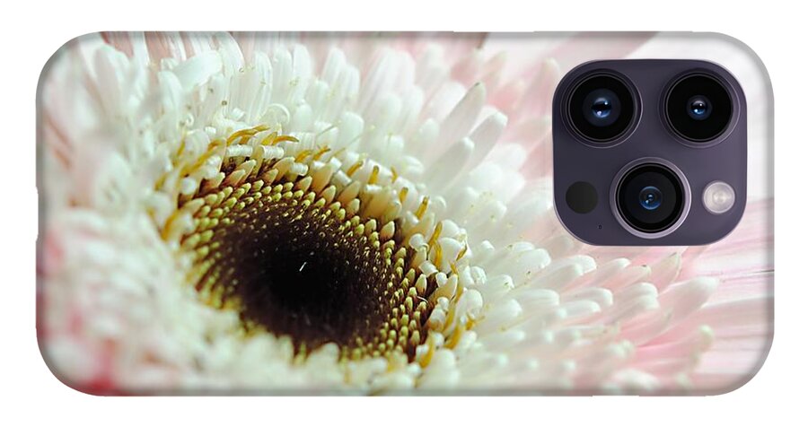 Pink and White Daisy - Phone Case