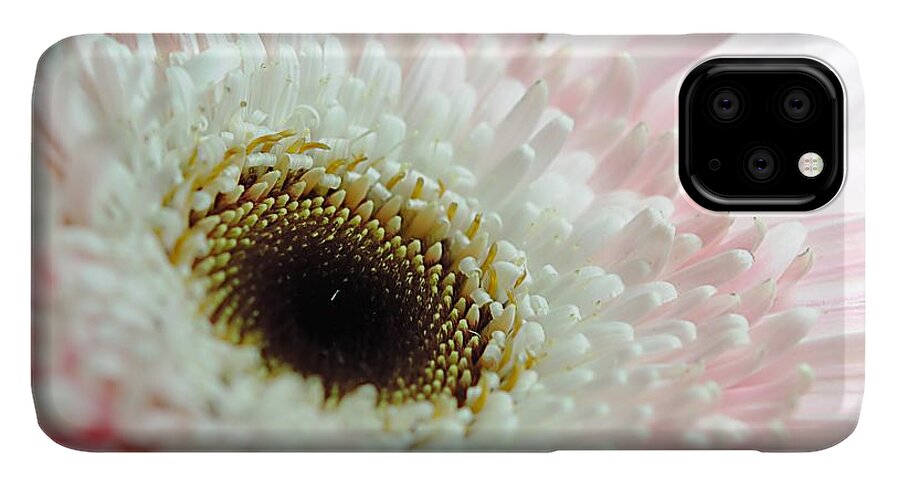 Pink and White Daisy - Phone Case