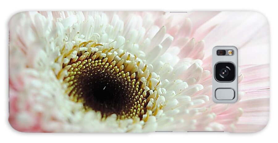 Pink and White Daisy - Phone Case