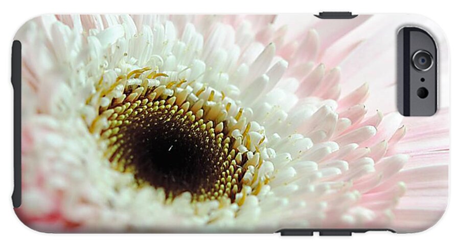 Pink and White Daisy - Phone Case